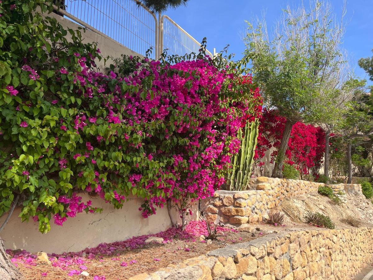 Apartament Roymar 14 Playa Benidorm