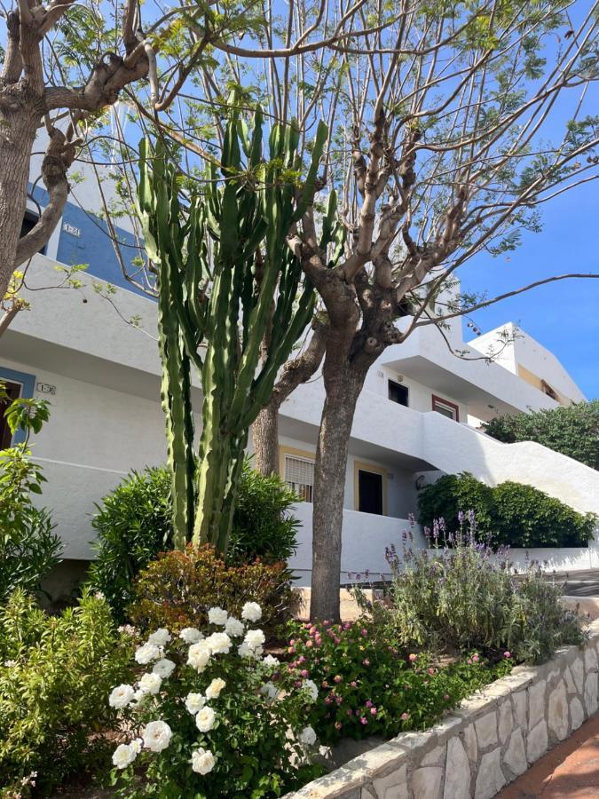 Apartament Roymar 14 Playa